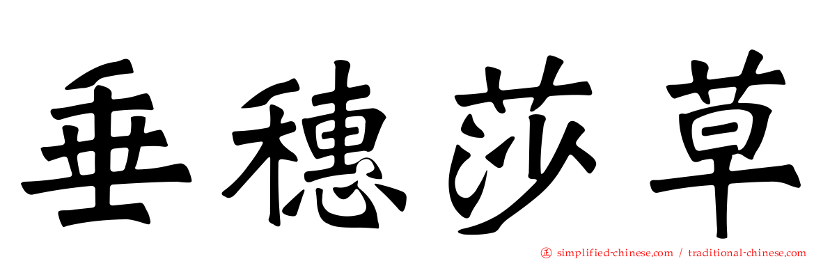 垂穗莎草