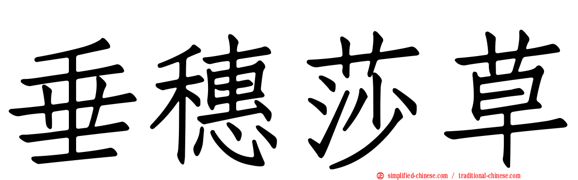 垂穗莎草