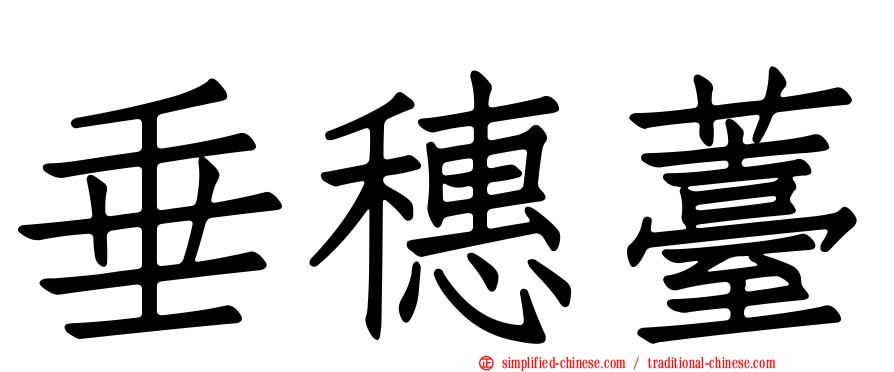 垂穗薹
