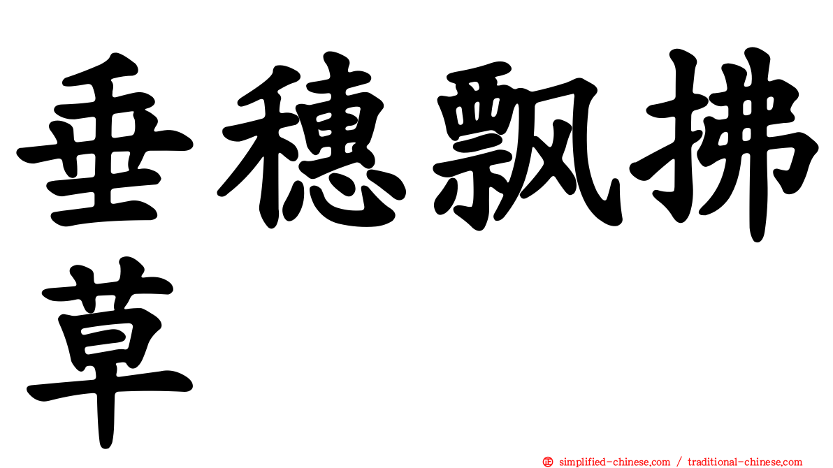垂穗飘拂草
