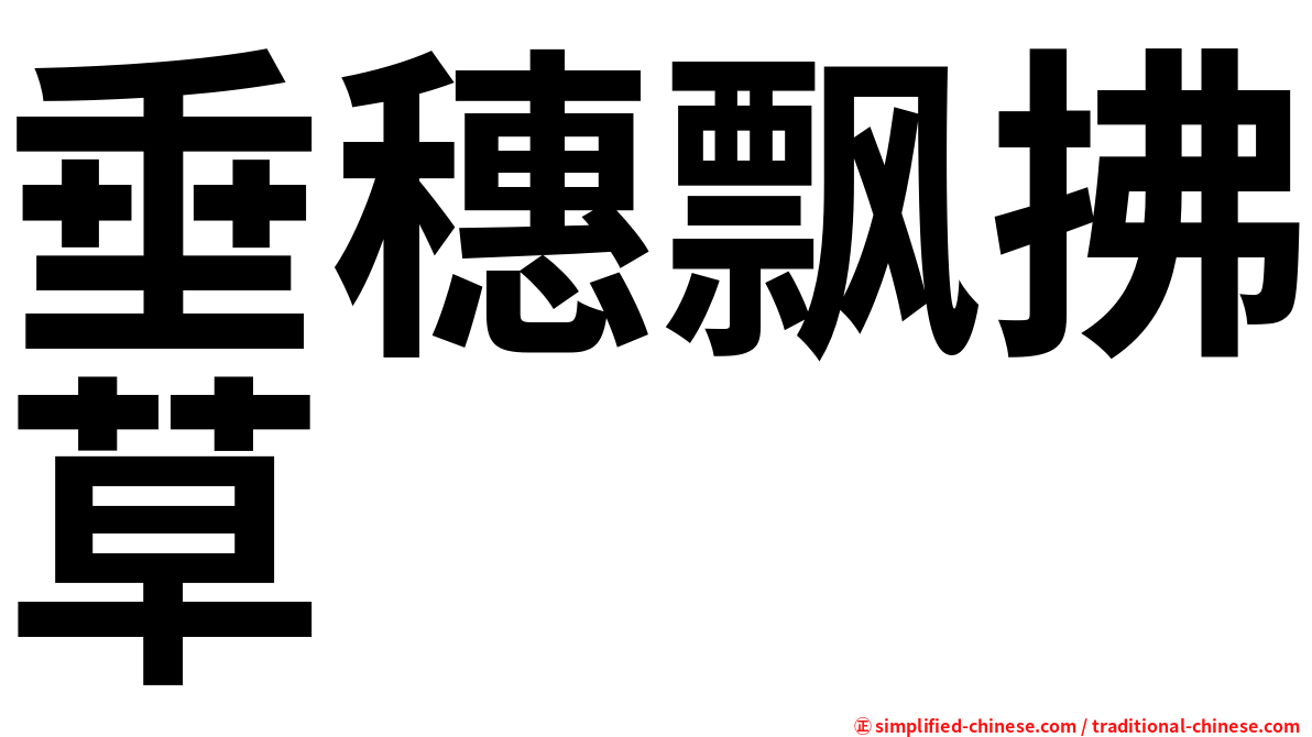 垂穗飘拂草