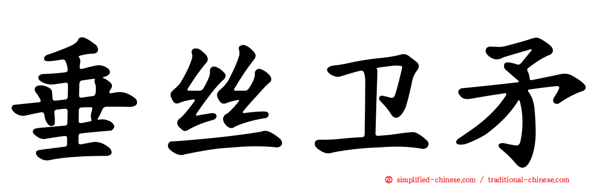 垂丝卫矛