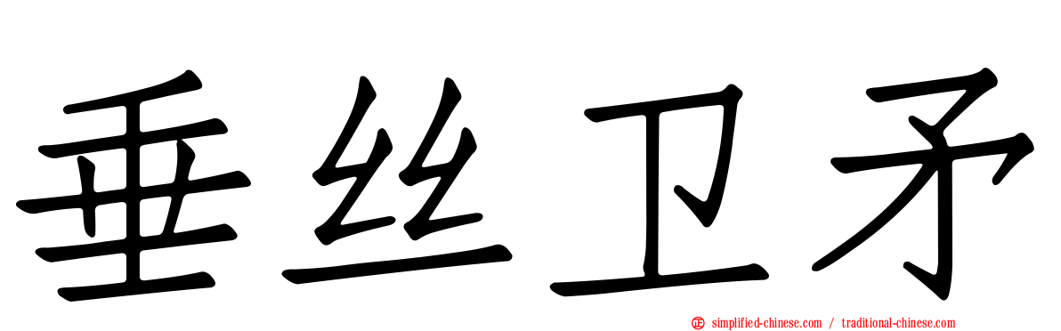 垂丝卫矛