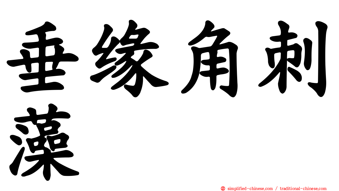 垂缘角刺藻
