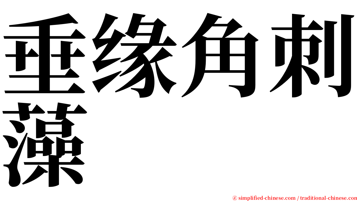 垂缘角刺藻 serif font