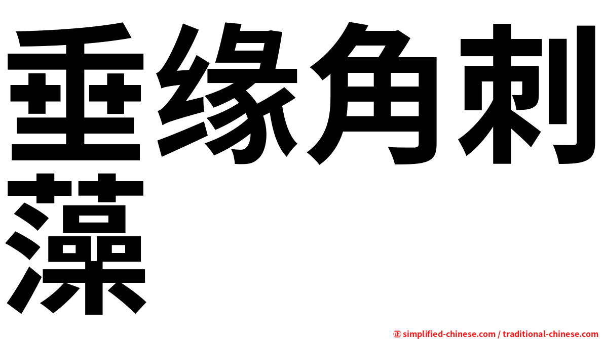 垂缘角刺藻
