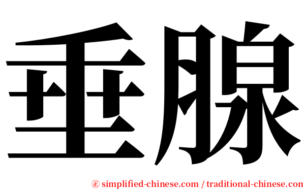 垂腺 serif font