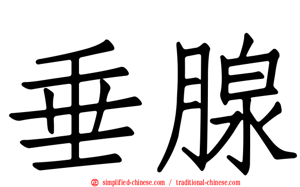 垂腺