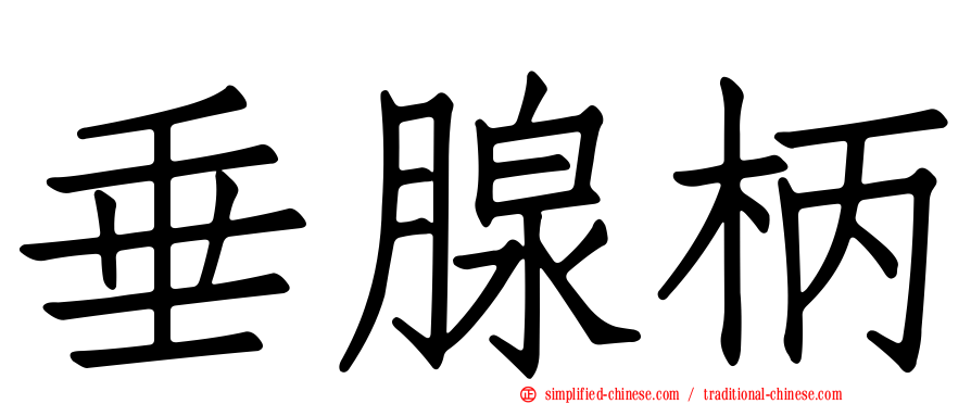 垂腺柄