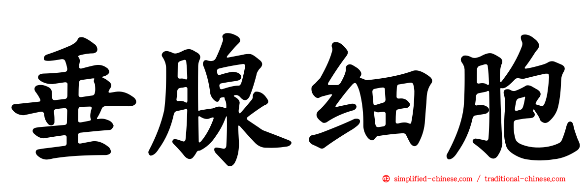 垂腺细胞