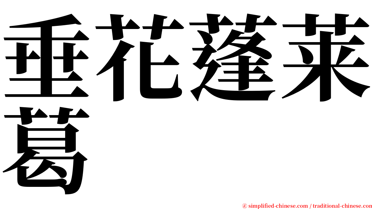 垂花蓬莱葛 serif font