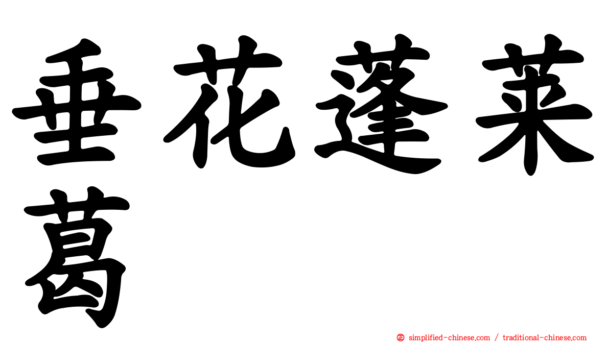 垂花蓬莱葛