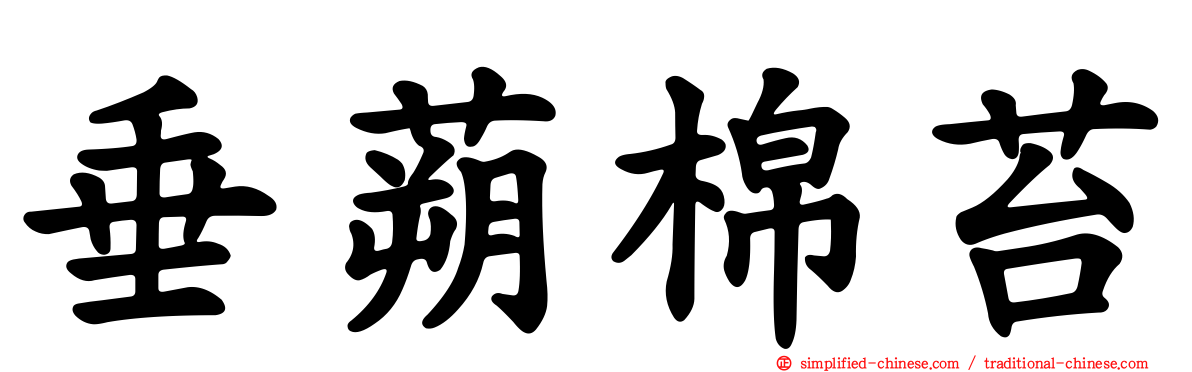 垂蒴棉苔