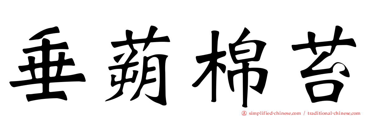 垂蒴棉苔