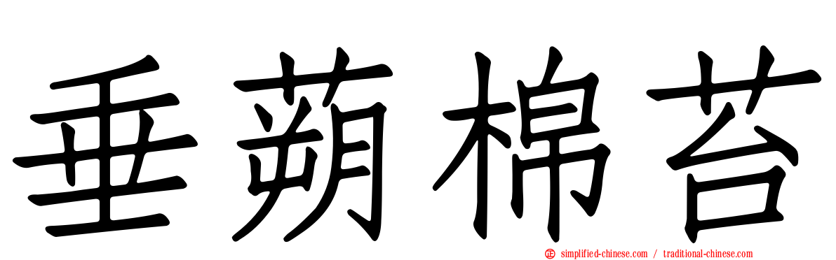 垂蒴棉苔