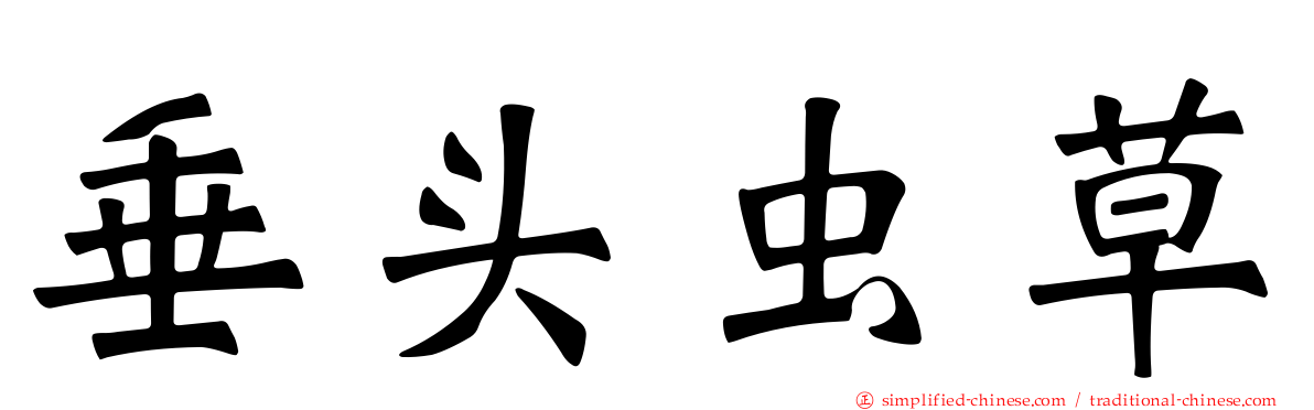 垂头虫草