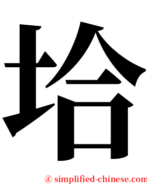 垥 serif font
