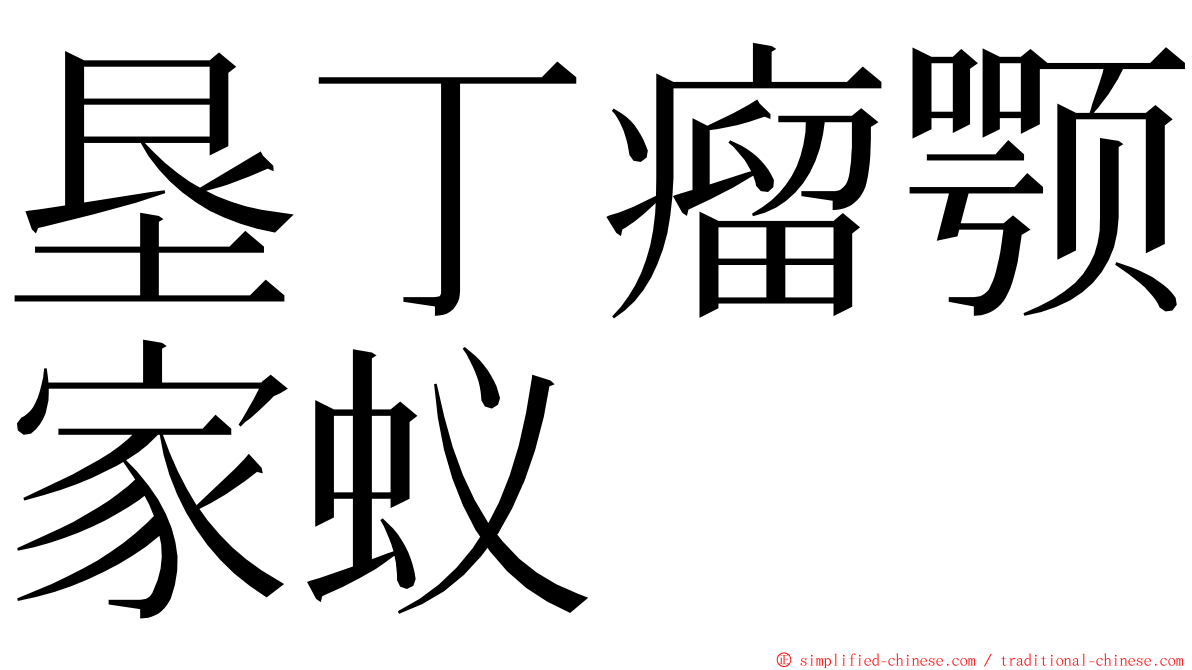 垦丁瘤颚家蚁 ming font