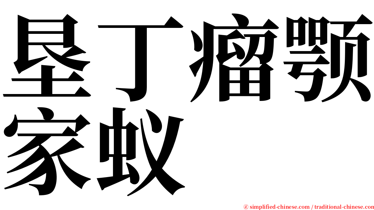 垦丁瘤颚家蚁 serif font