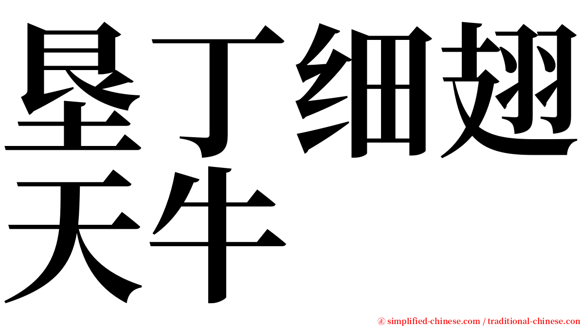 垦丁细翅天牛 serif font