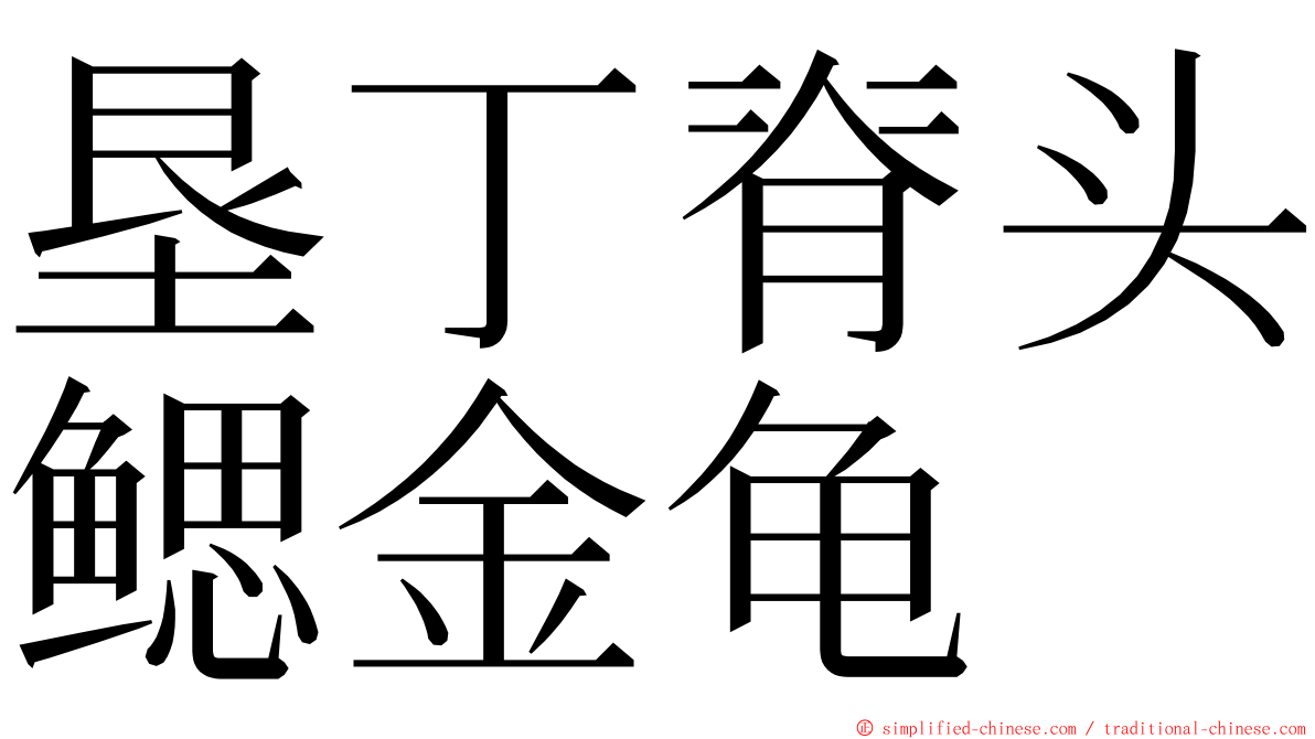垦丁脊头鳃金龟 ming font