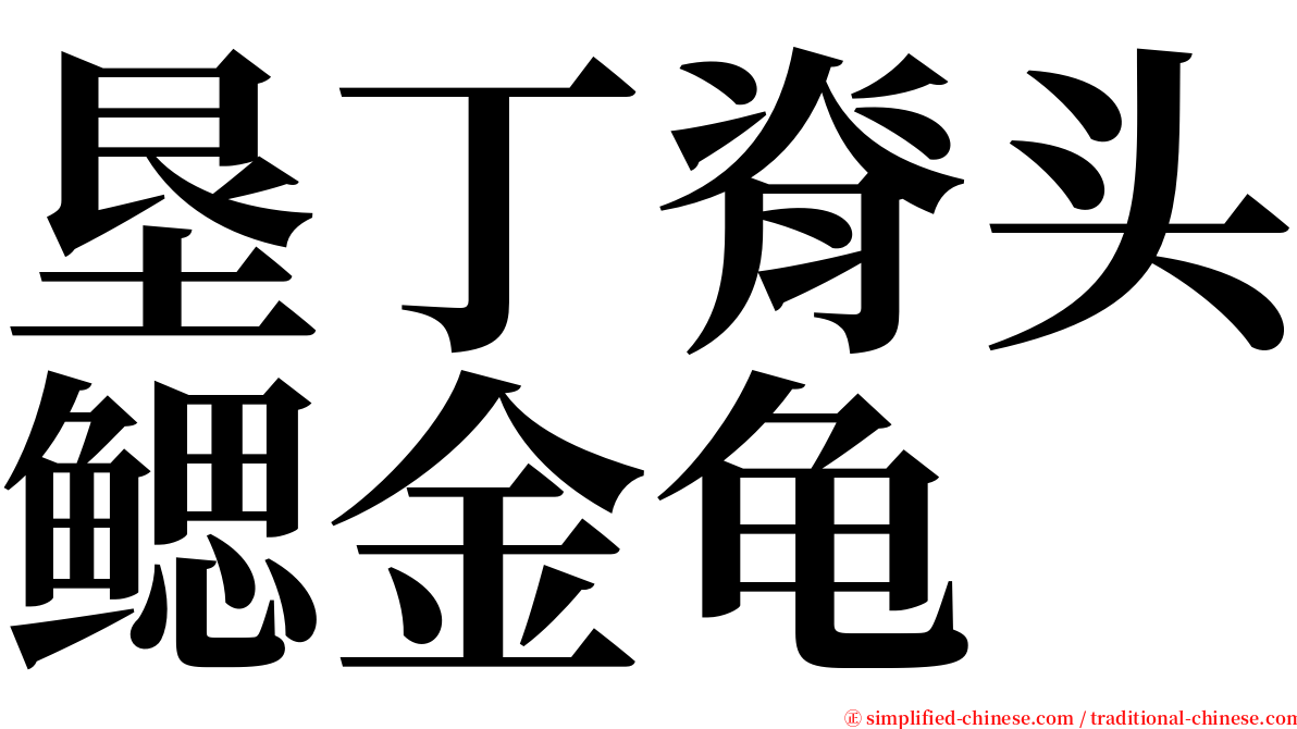 垦丁脊头鳃金龟 serif font