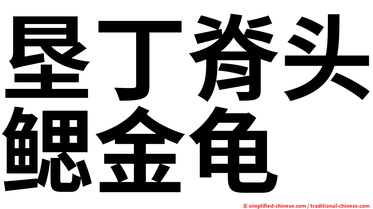 垦丁脊头鳃金龟