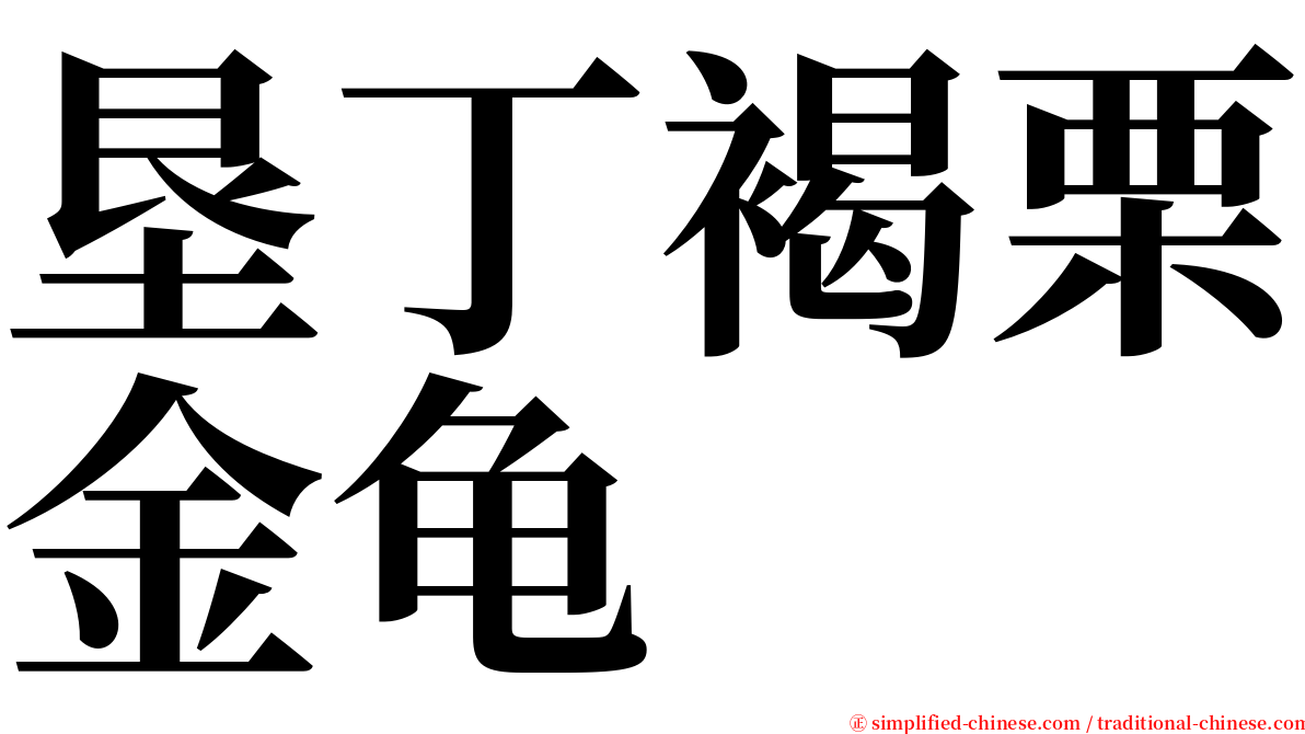 垦丁褐栗金龟 serif font