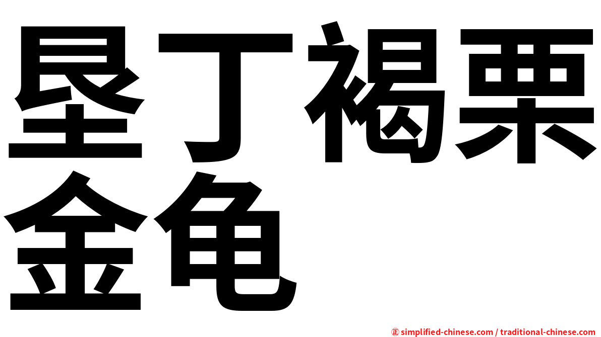 垦丁褐栗金龟