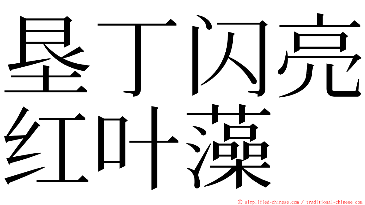 垦丁闪亮红叶藻 ming font