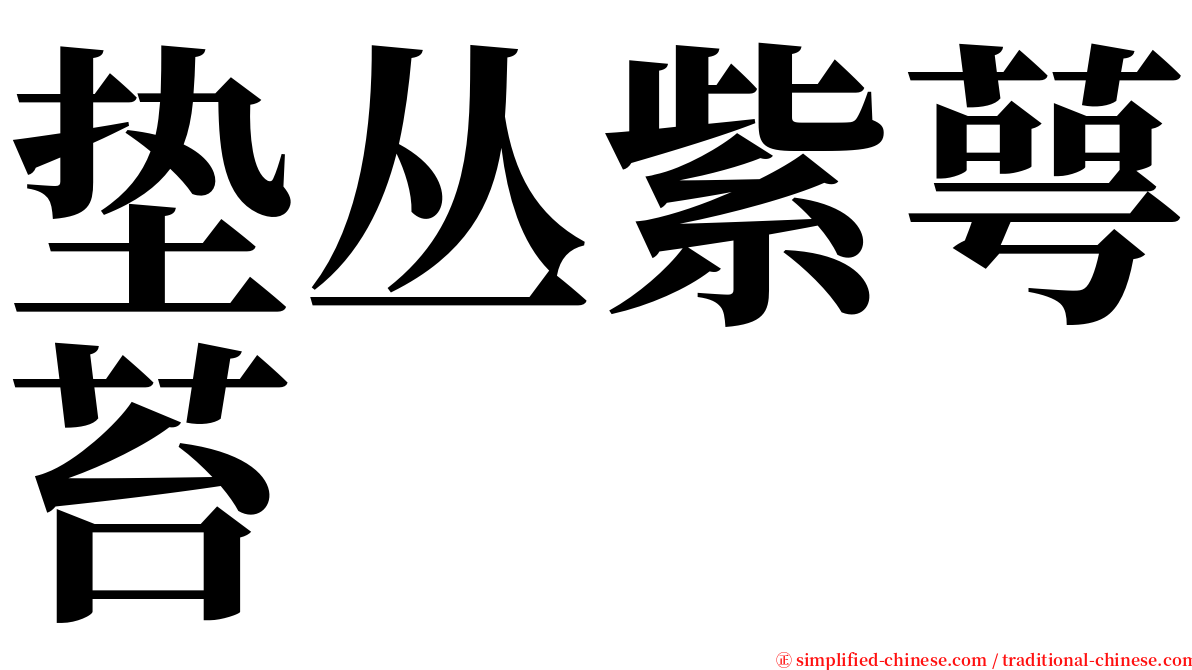 垫丛紫萼苔 serif font