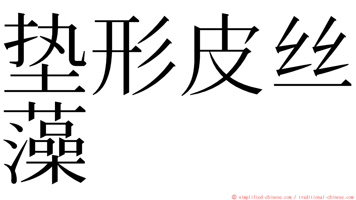 垫形皮丝藻 ming font