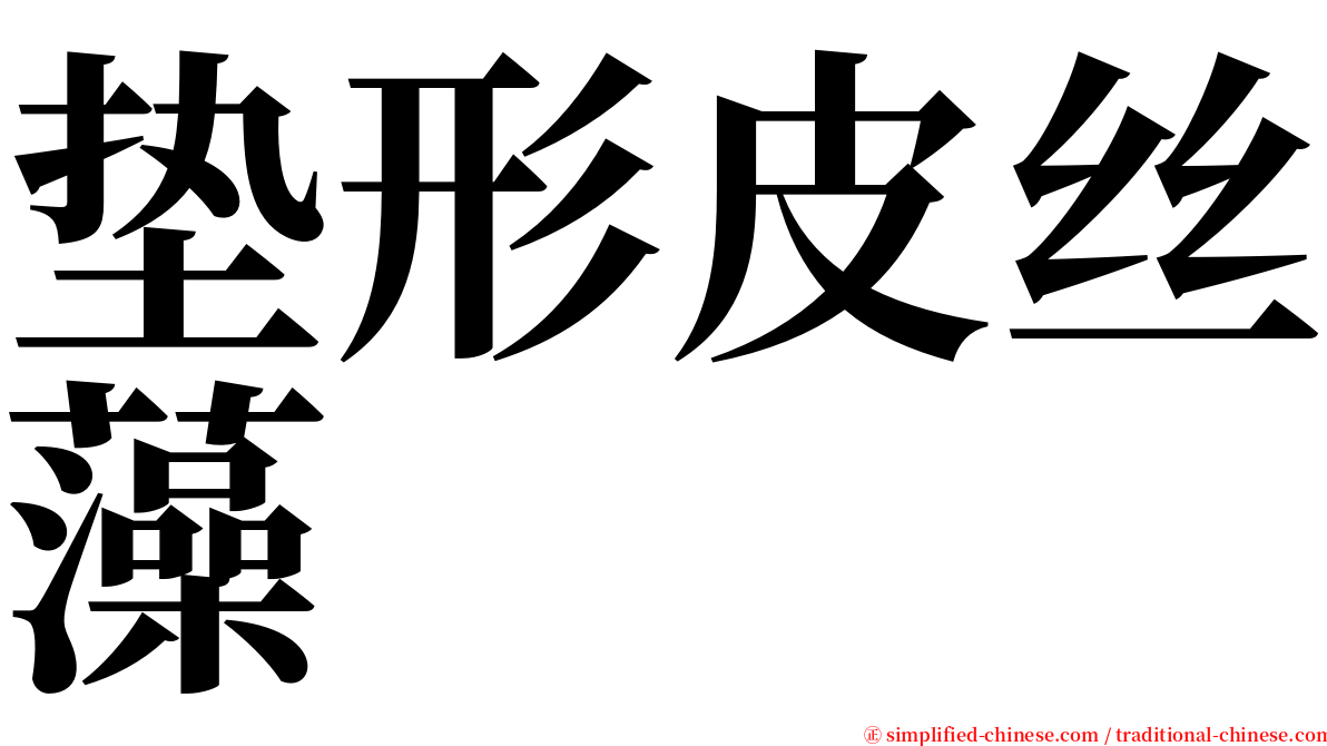 垫形皮丝藻 serif font