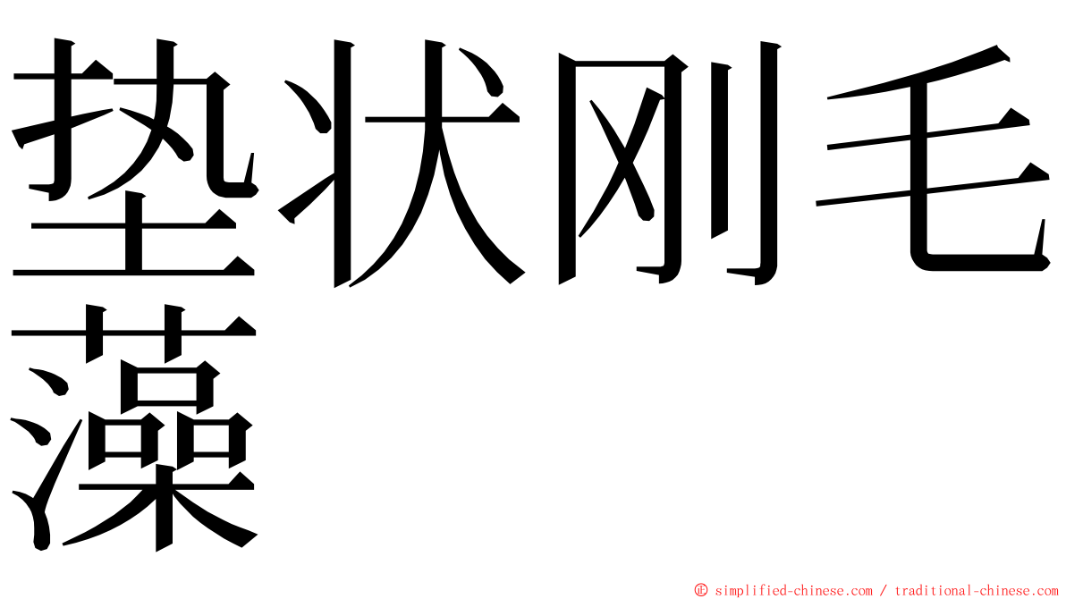 垫状刚毛藻 ming font