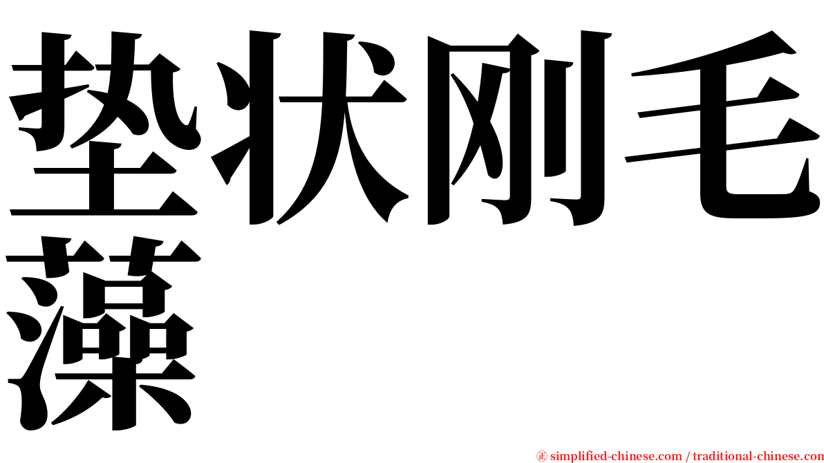 垫状刚毛藻 serif font