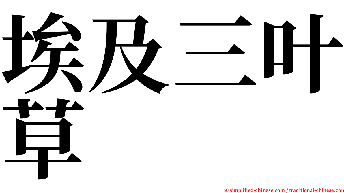埃及三叶草 serif font