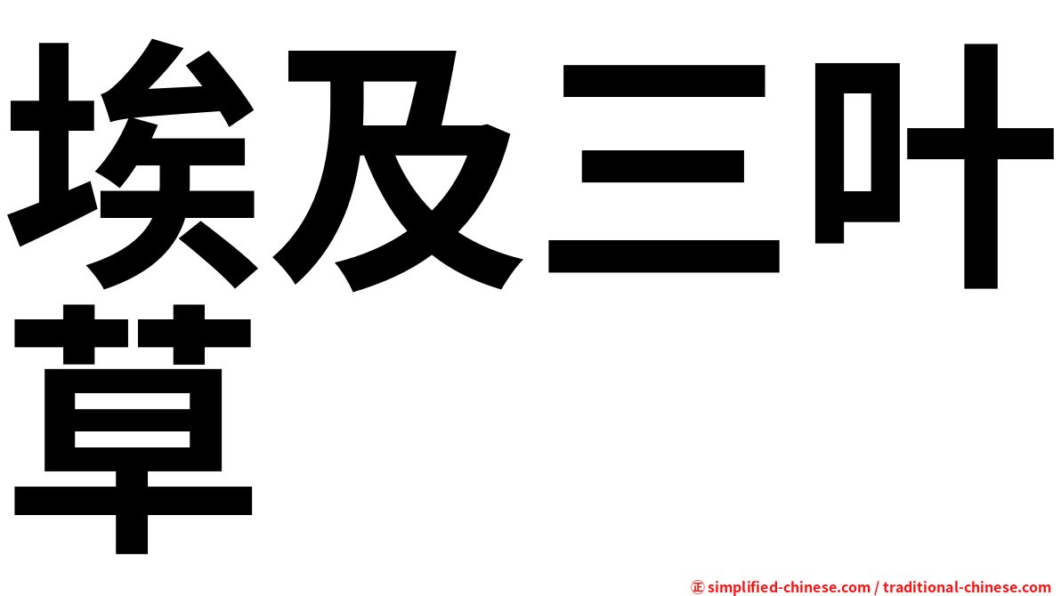 埃及三叶草