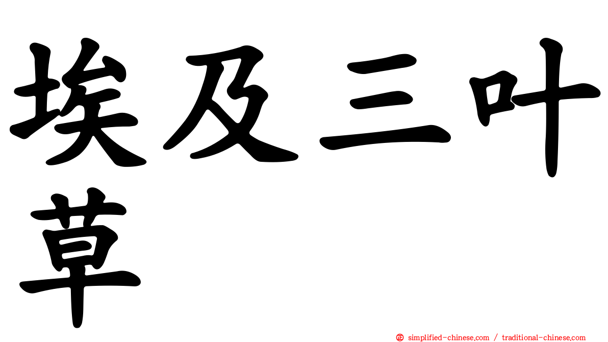 埃及三叶草