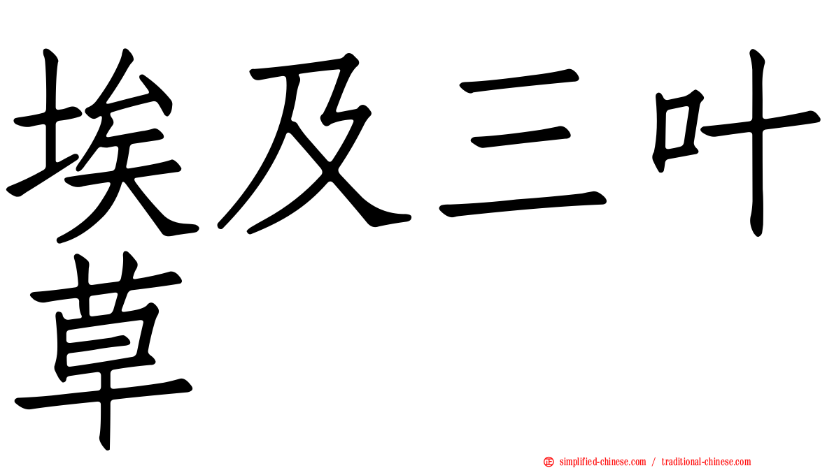 埃及三叶草
