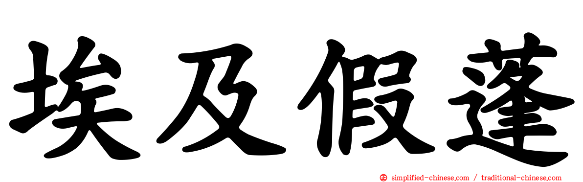 埃及假蓬