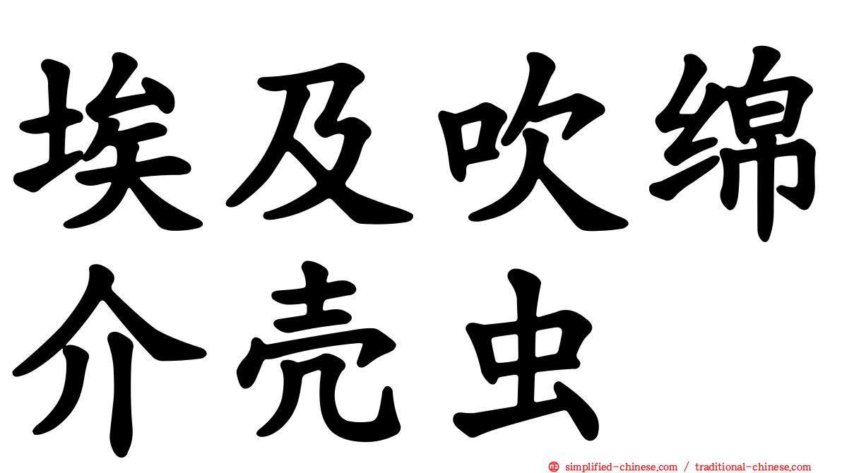 埃及吹绵介壳虫