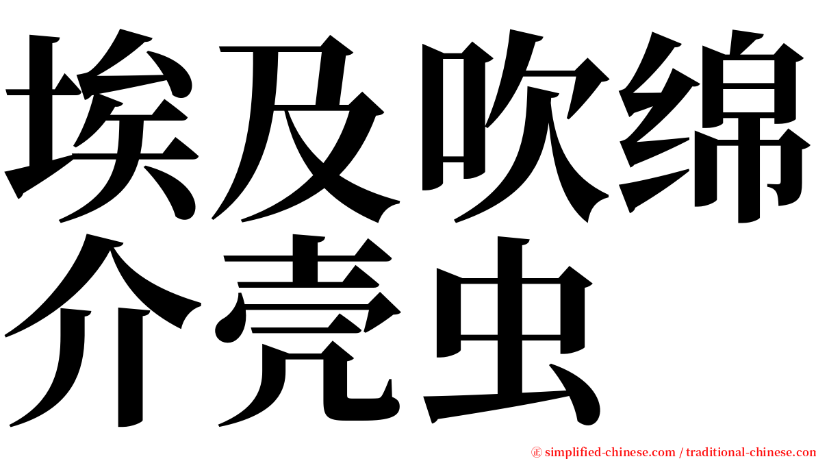 埃及吹绵介壳虫 serif font