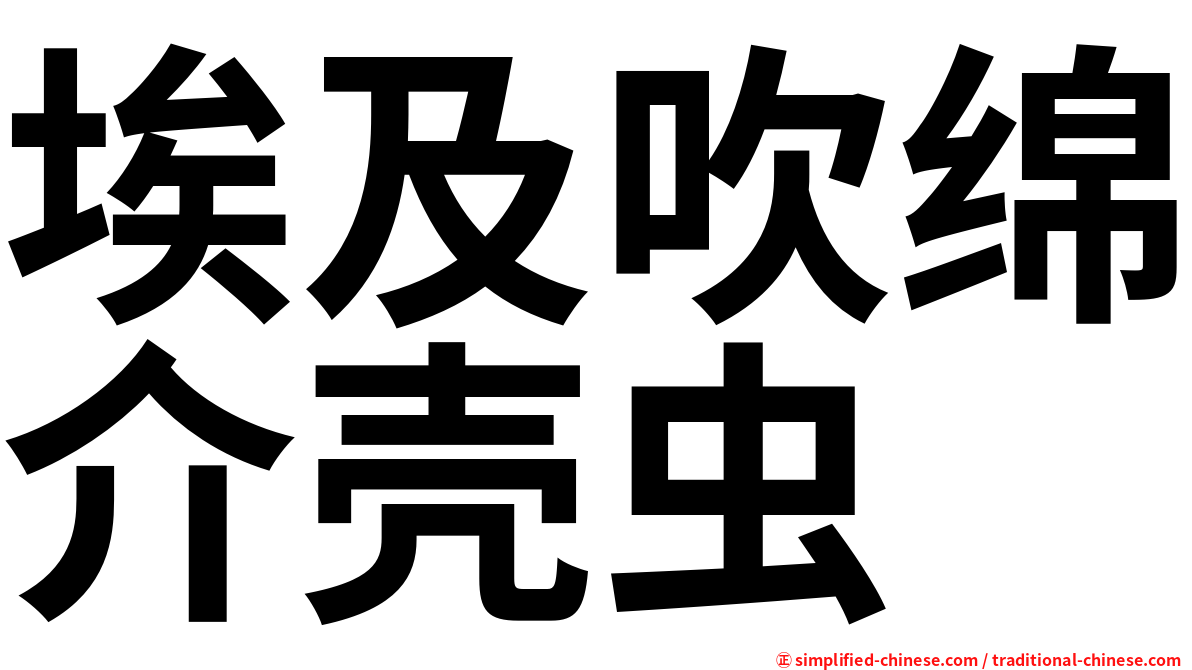 埃及吹绵介壳虫
