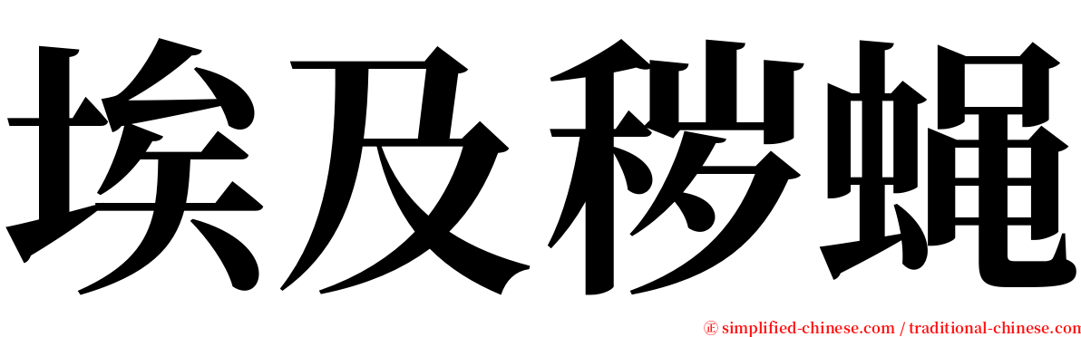 埃及秽蝇 serif font