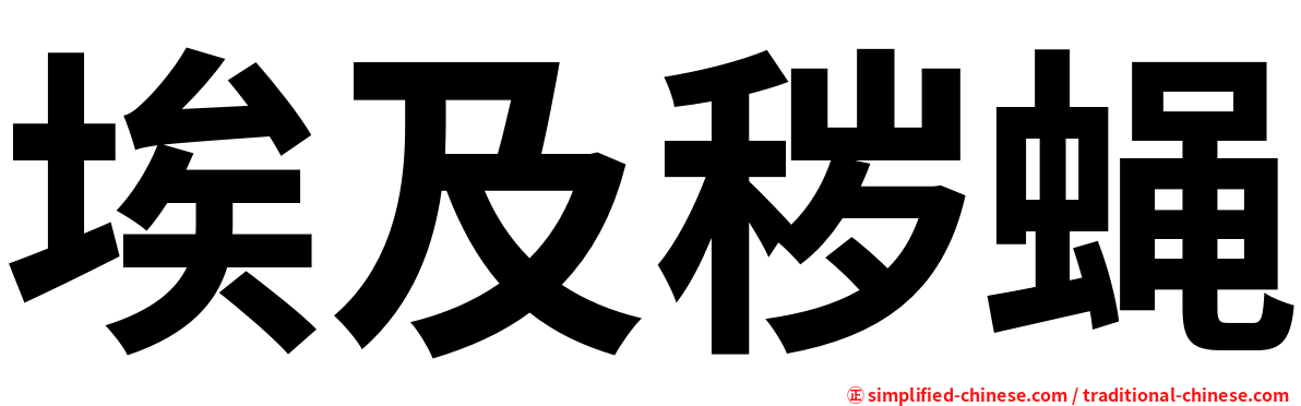 埃及秽蝇