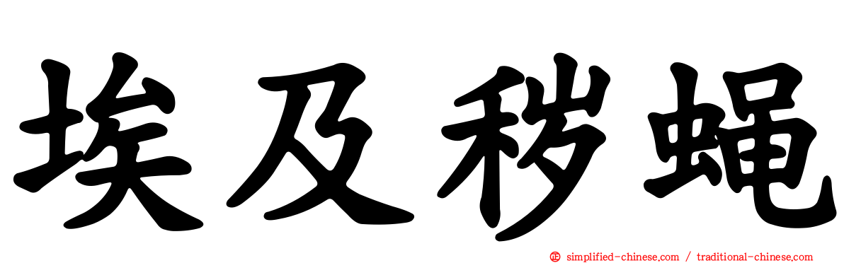 埃及秽蝇