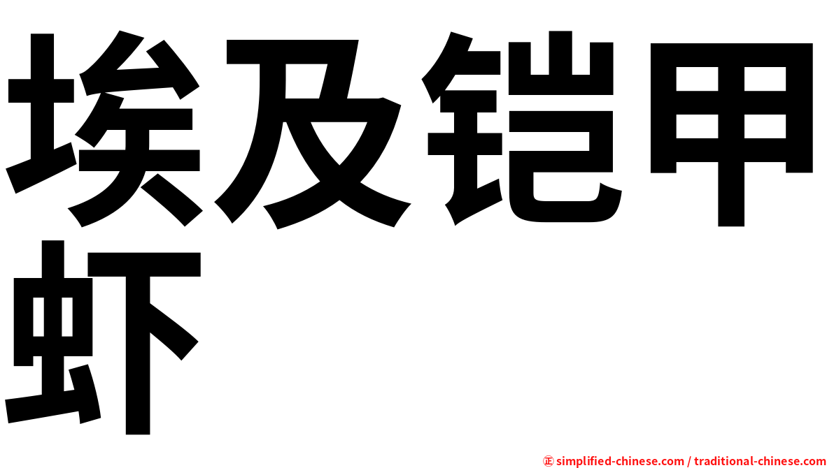 埃及铠甲虾