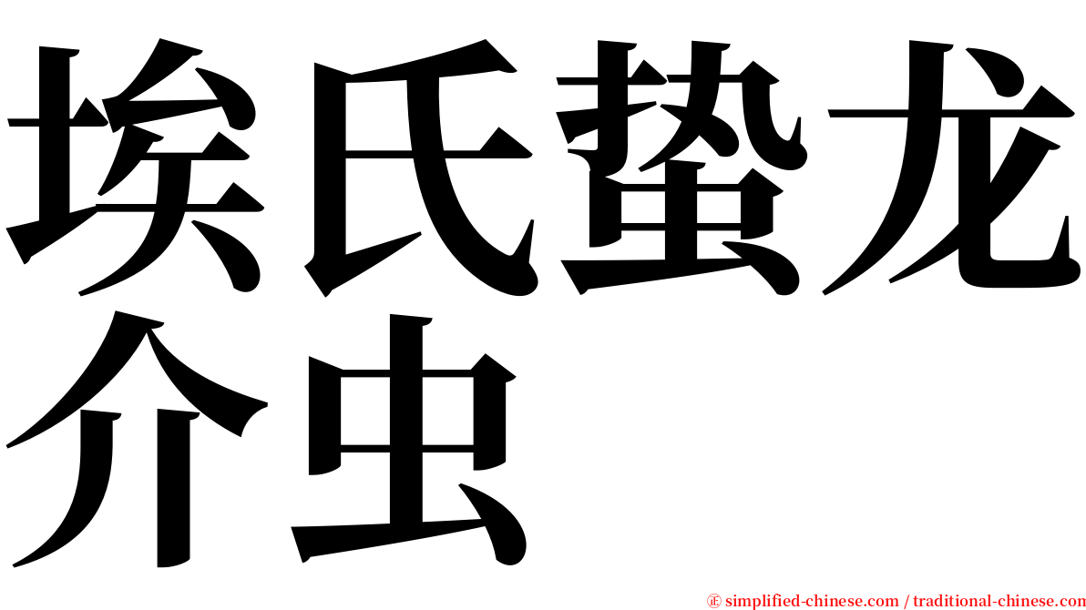埃氏蛰龙介虫 serif font