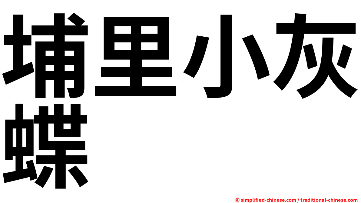 埔里小灰蝶