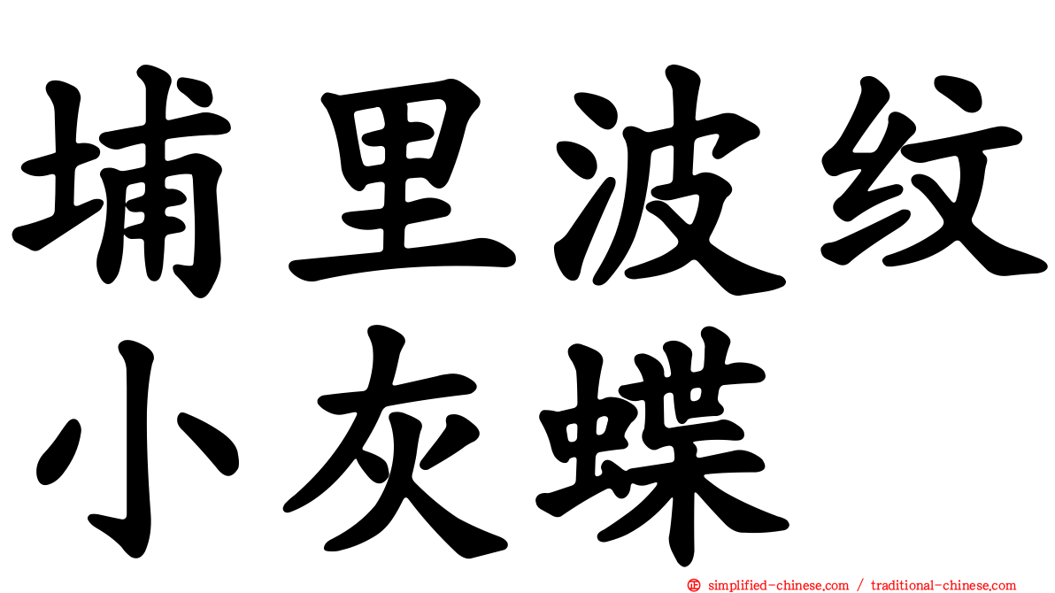 埔里波纹小灰蝶